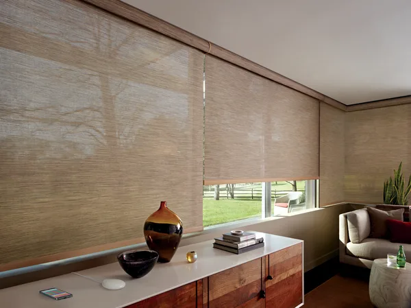 hunter douglas shades blinds