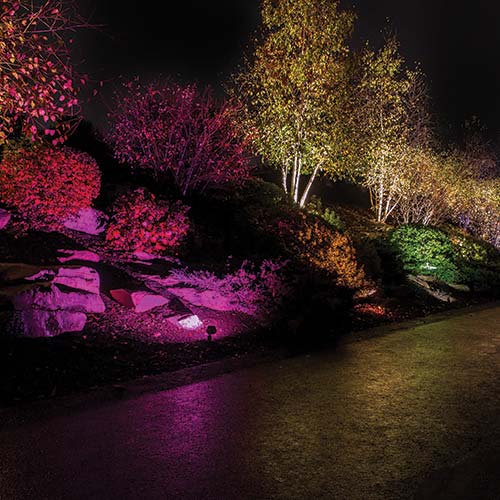 colorscaping garden lighting